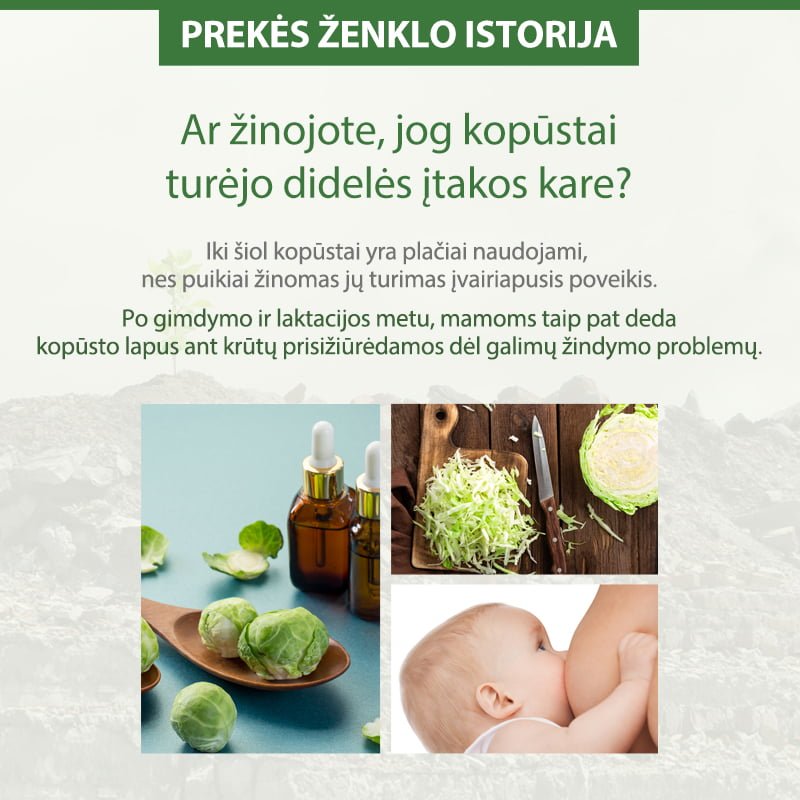 TNTN MOM'S Kopūstų kaukė krūtinei