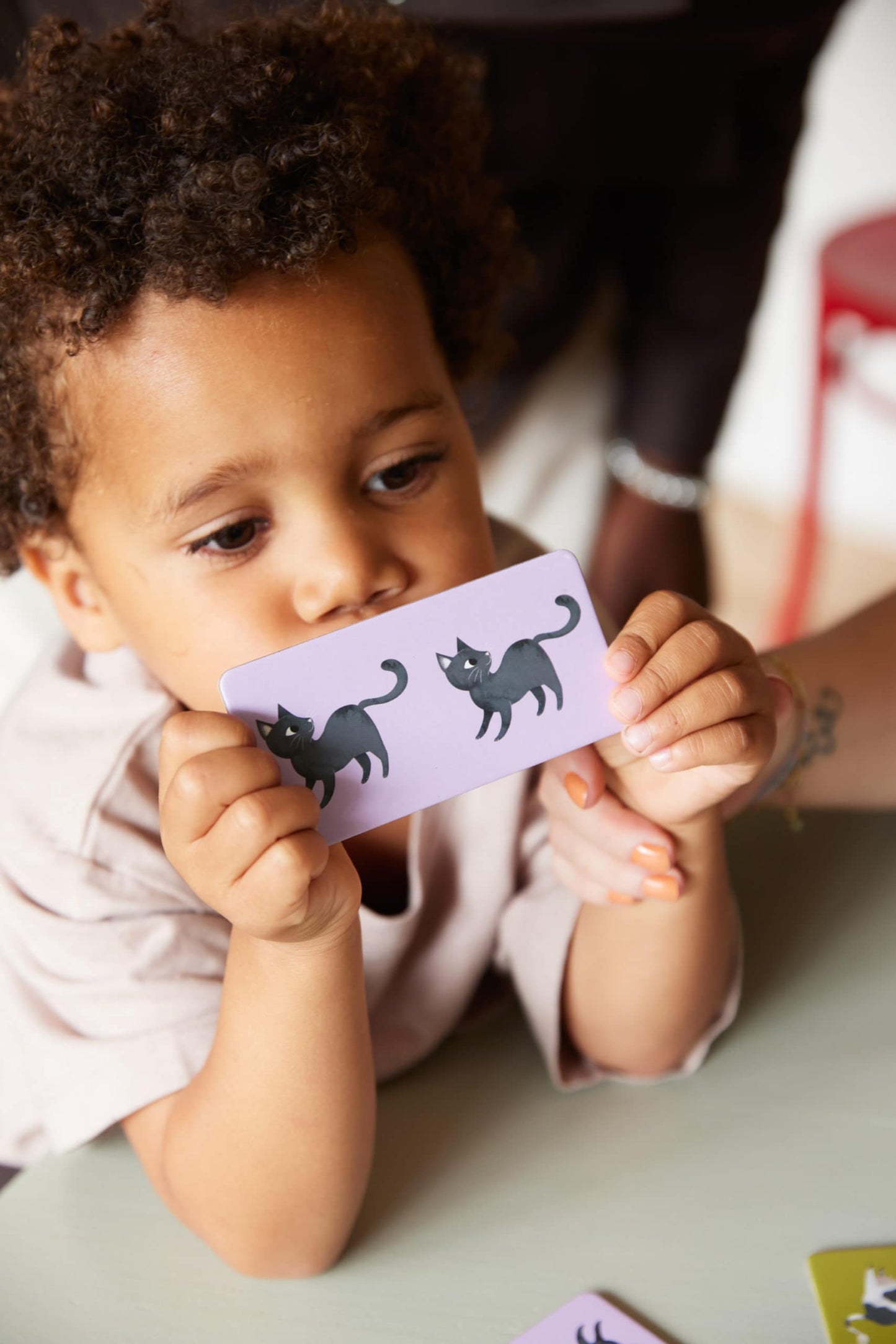 FILIBABBA lavinamoji dėlionė DOMINO