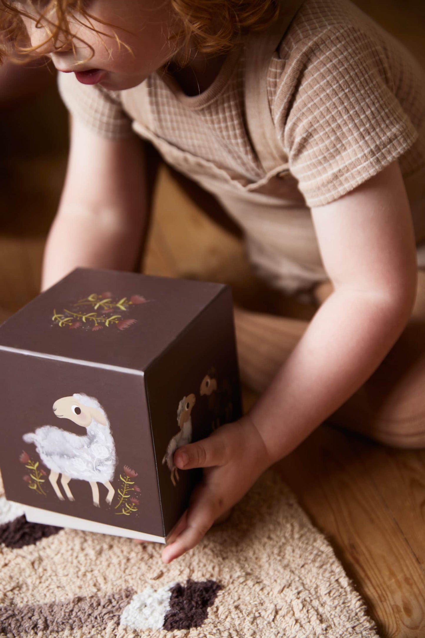 FILIBABBA lavinamosios kaladėlės