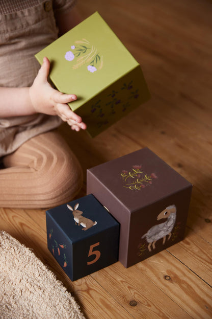 FILIBABBA lavinamosios kaladėlės