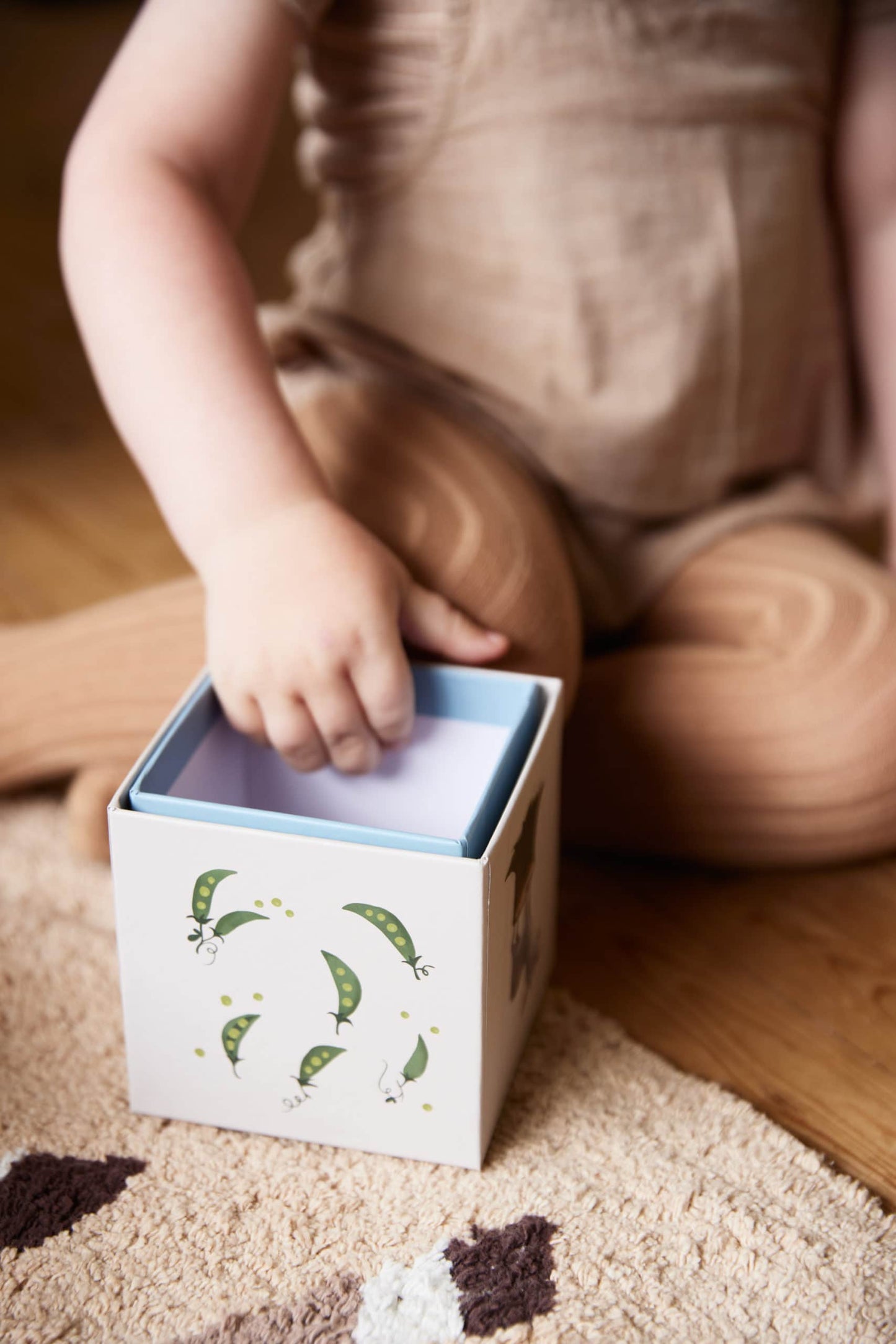 FILIBABBA lavinamosios kaladėlės