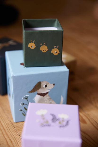 FILIBABBA lavinamosios kaladėlės